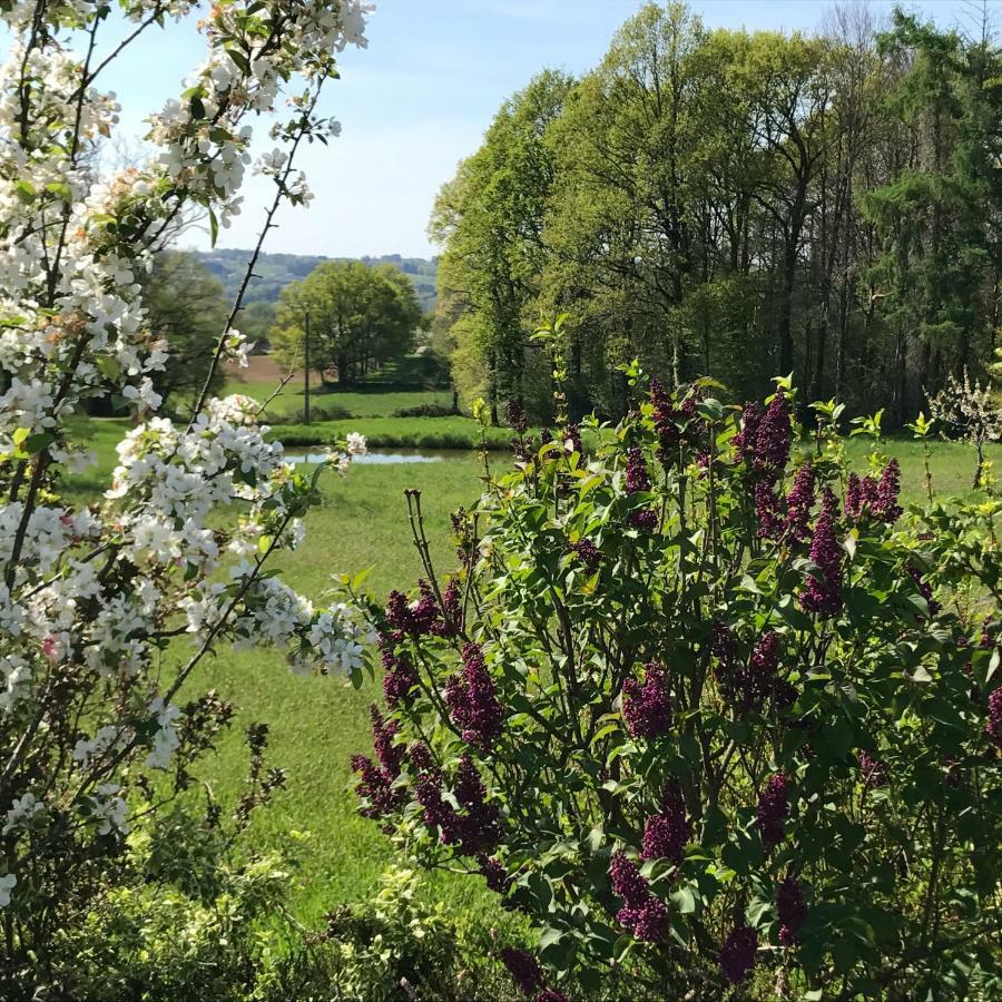 Escale En Correze Bed and Breakfast Sadroc Exteriör bild